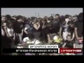 דולפינריום