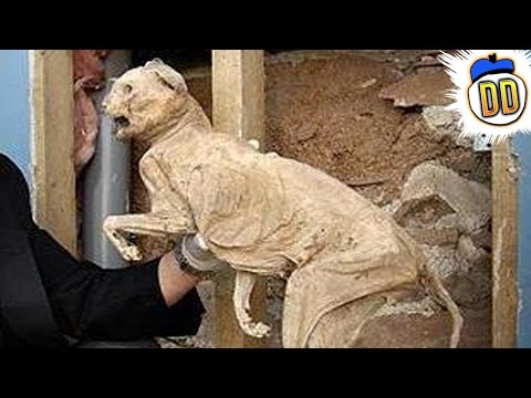 8 Strangest Things People Have Found Inside Their Walls