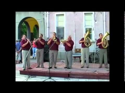 Watch Съборът на гр. Койнаре 2011г. (1/4)