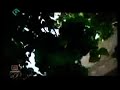 asghar_oslo_ بررسی یک پرونده آدمربایی و تجاوز