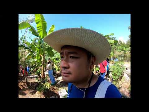 ทัวร์ 5 ด. Part 1_ ความหมายของทัวร์ 5 ด. ผักปัญญาดีและผักปัญญาอ่อน คืออะไร