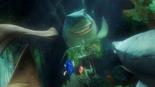 Fish Are Friends, Not Food Finding Nemo Scene