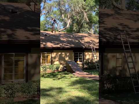 Skating a Rail on the Roof of our House! By Dalton and Kanaan #skateboarding