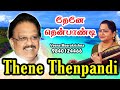 Thene Thenpandi (தேனே தென்பாண்டி) - Film Instrumental by Veena Meerakrishna