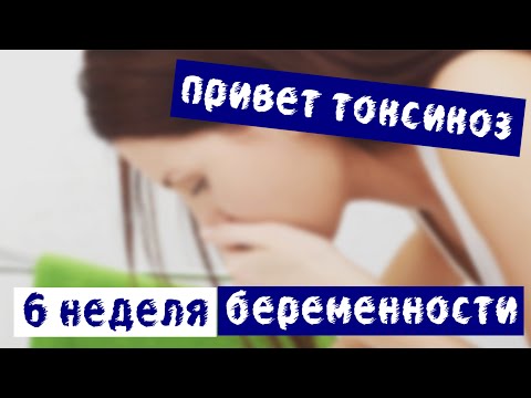 5-6 недель беременности нет токсикоза