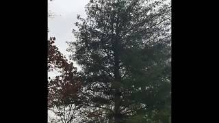 Iphone Drop Test In Wind Stormalmost Died