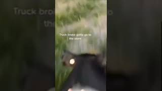 Hog Rider Irl