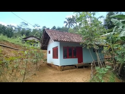 Mereka pada bahagia tinggal di kampung seperti ini suasananya bikin adem di hati