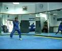 Video Martial arts training in cairo egypt