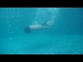 Casio Exilim EX-Z33 SOOC Underwater Video #1