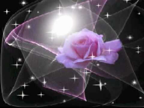 Como rosas de un rosal en rosas de amor. Como rosas de un rosal en