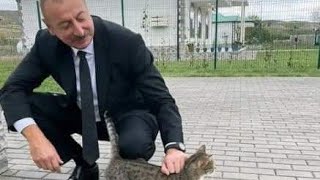 Insanlıqın Düşmənləri Olan Əliyevlər Guyakı Heyvan Sevər Olublar.