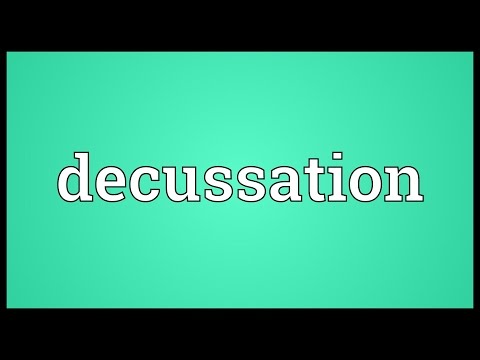 Header of decussation