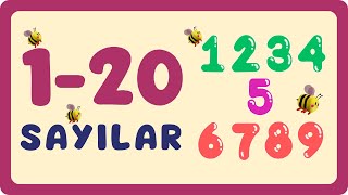 1Den 20Ye Kadar Olan Sayilar İngilizce Ve Türkçe Sesli Okuma Anlamlarıyla Birlikte