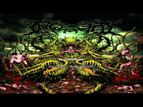 Pre-released Foetal Mush Video