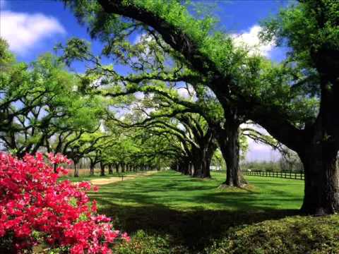 EK TERA SAATH HUMKO DO JAHAN SE PYARA HAI BY MALIK SHERWANI