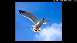 Watch Crvena Jabuka Osjecaj video