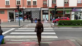 Stopled paso de cebra