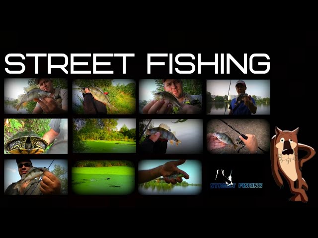 Street Fishing (отчет с рыбалки 26.07.2016)