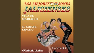 El Mariachi de Mi Tierra