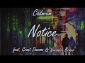 Cadmium - Notice (feat. Grant Dawson & Veronica Bravo)