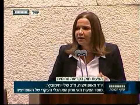 שלי יחימוביץ' בנאום במליאה נגד "חוק המשילות" שלי יחימוביץ' בנאום במליאה נגד "חוק המשילות"