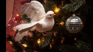 Storybook Events - Christmas In July