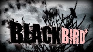 "Blackbird" | Creepypasta | Horror Story