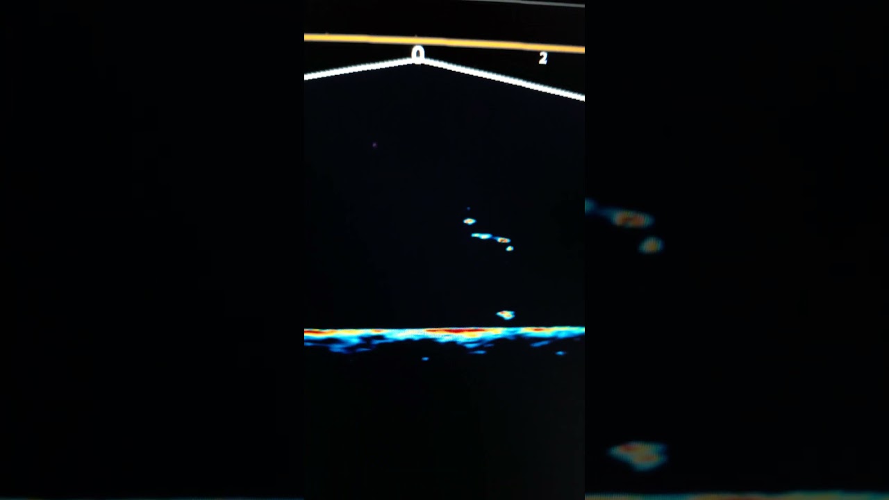 PB Zander Livebiss (Guidingtour) www.Johnnyrelease.de #Angeln #Pelagischangeln