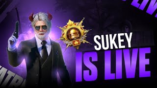 Sukey Yt Is Live