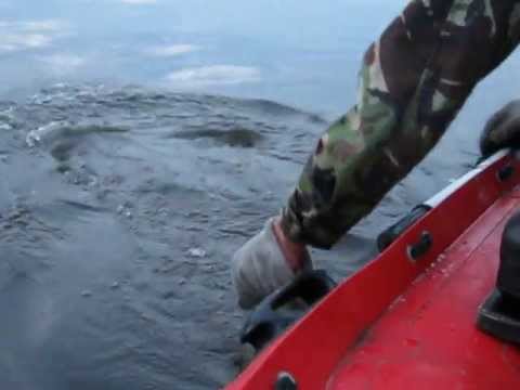 ловля на квок в кременчуге ловля на квок в кременчуге
