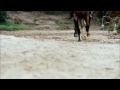 stream Besouro Capoeira Film Clip 6 Of 7 Besouro Capoeira Film Clip 6 Of 7 By image
