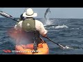 300 Pound Marlin Tows Kayak 11 MILES