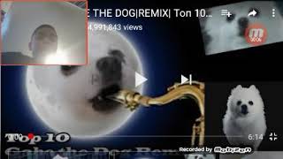 Waching Gade The Dog