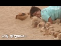Super adorable puppies having massage