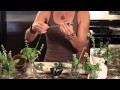 Herbs as Boutonnieres : Herbs & Healthy Dishes