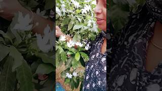 Aane Seuske Aaye Bahar