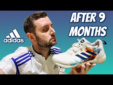 Adidas CODECHAOS Golf Shoes | AFTER 9 Months | Should you BUY them?