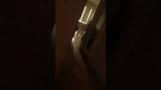 My Cousin Like To Twerk