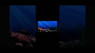 Babyfirst Scuba Dots Love Preserve
