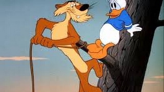 Donald Duck's Lion Trouble Disney's Big Cat Classic Collection! #1