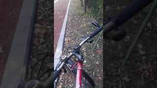 Virajların Ustasıyım Gözlerinin Hastasıyım