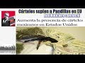 Cárteles suplen a Pandillas en EU; Red Noticiero con Jochi Cárteles suplen a Pandillas en EU; Red Noticiero con Jochi