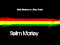 Bob Marley : Zion Train + Lyrics