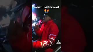 Calboy Snippet