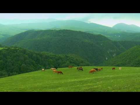 Сельские приколы на свадьбе Сельские приколы на свадьбе