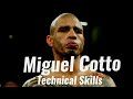 Miguel Cotto | Techniques & Strategies