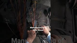 Manufacturing Of Allis Tissue Forcep