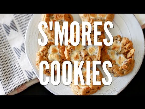 VIDEO : how to make s'mores cookie - blend graham cracker crumbs and pre-made chocolate chipblend graham cracker crumbs and pre-made chocolate chipcookie doughtogether to makeblend graham cracker crumbs and pre-made chocolate chipblend gr ...