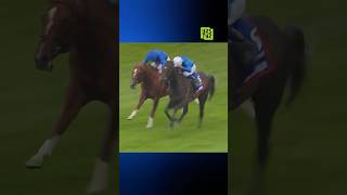 Godolphin Ekürisinden Dört Dörtlük Hafta Sonu